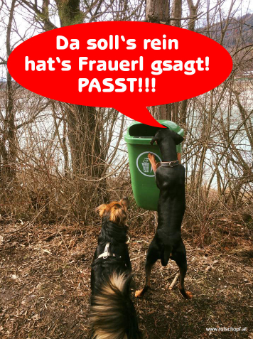 Hunde Gassisacker Muelleimer